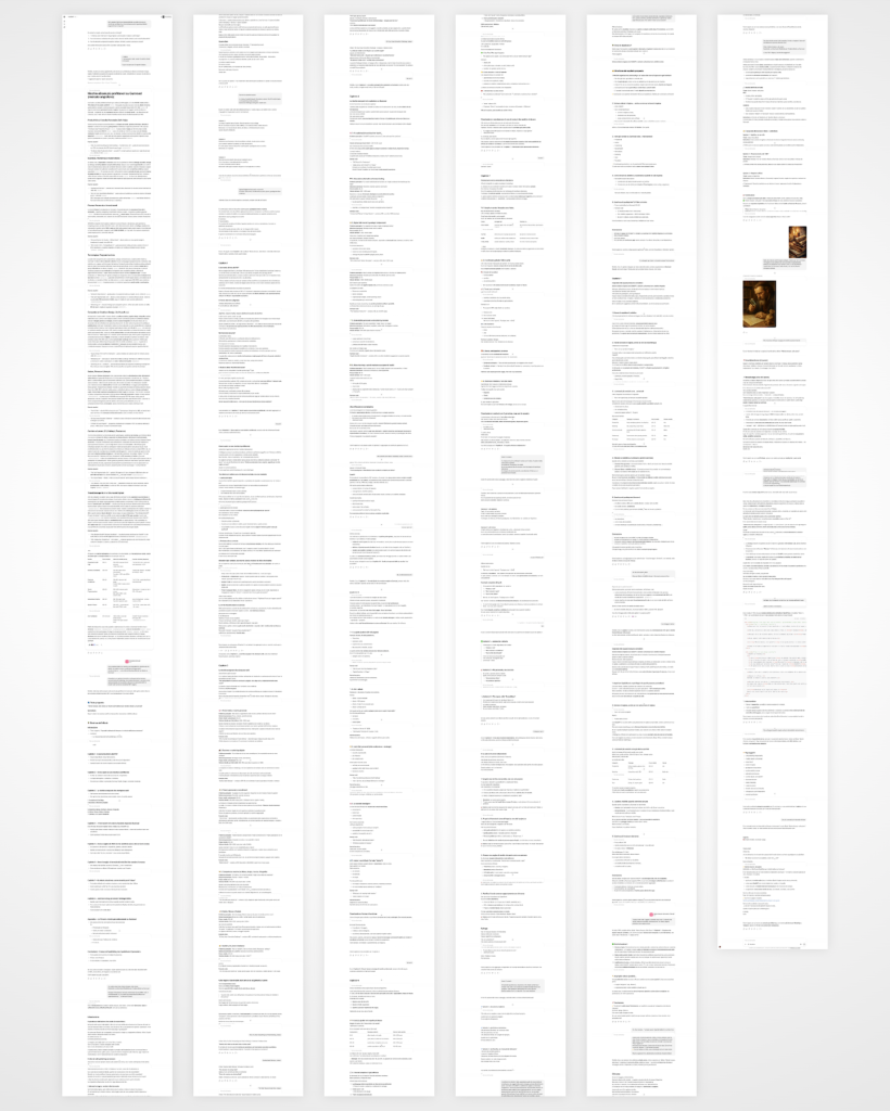 Screen capture della mia conversazione con ChatGPT